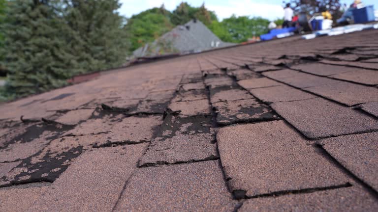 Best Roof Coating and Sealing  in Lebanon, IN